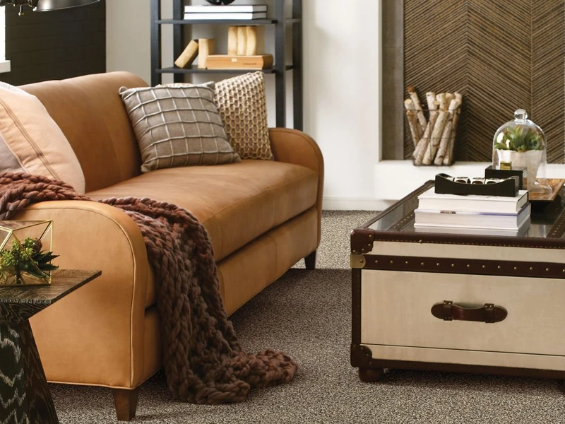 Carpeted Living Room Area