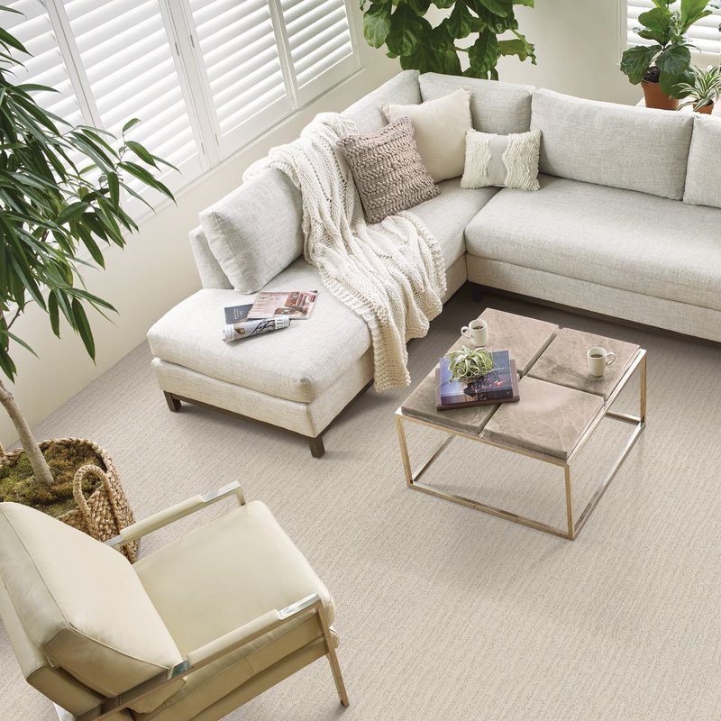 Shaw's Caress Carpet from Horrigan Flooring Center in Westminster, MA