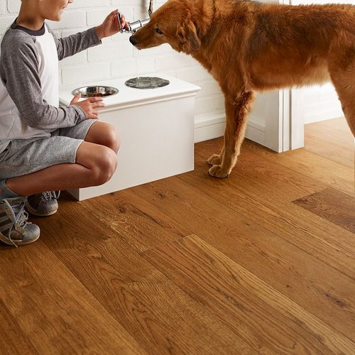 A kid and his dog from Horrigan Flooring Center in Westminster