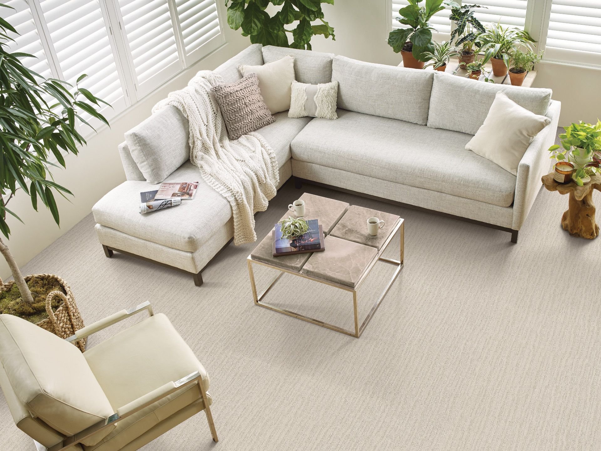 Large living room with white couch on carpet from Horrigan Flooring Center in Westminster